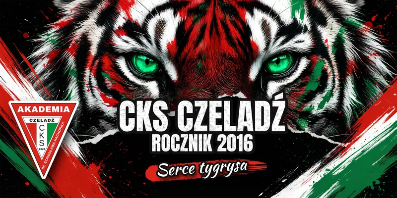Projekt 4: Oczy tygrysa